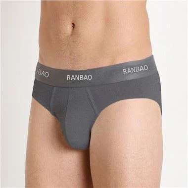 Young Brief Men's Underwear Bamboo Breathable